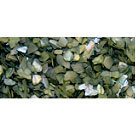 Crushed Sea Shells # Sea Pebbles 30g