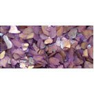 Crushed Sea Shells # Lilac Haze 30g
